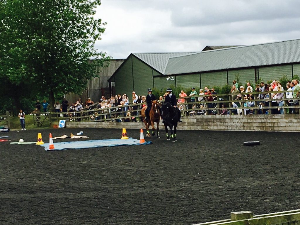 Home for Horses, Speen