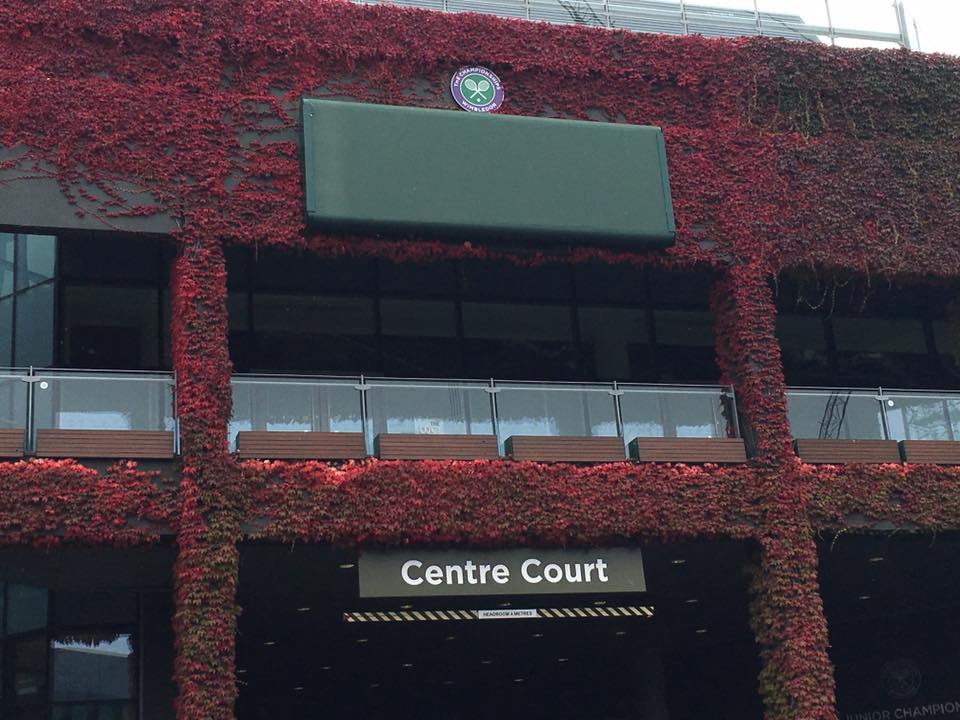 Wimbledon 